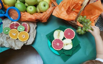 Protegido: En Alminares miramos con lupa los frutos de otoño!